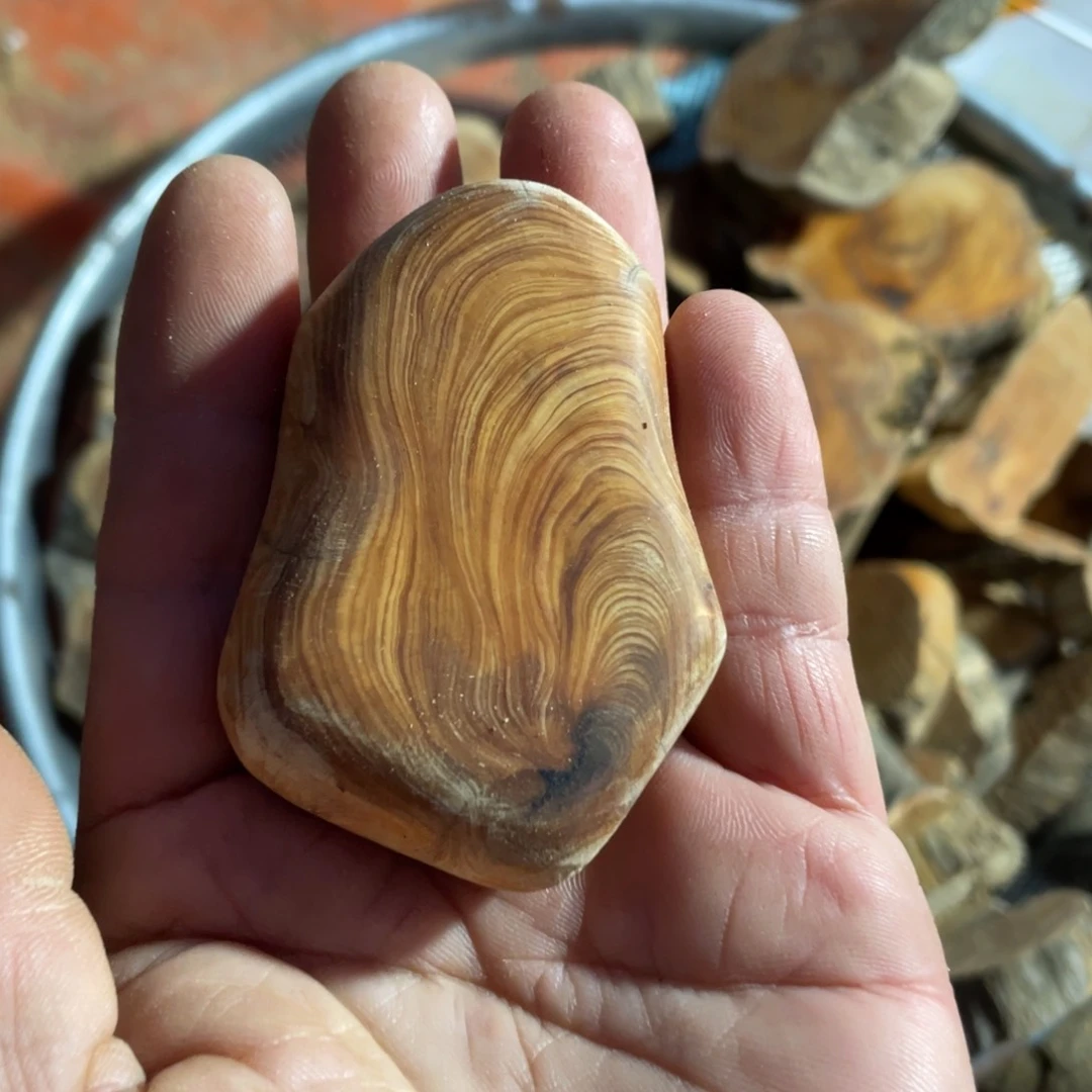 柏木?**?手串等多种