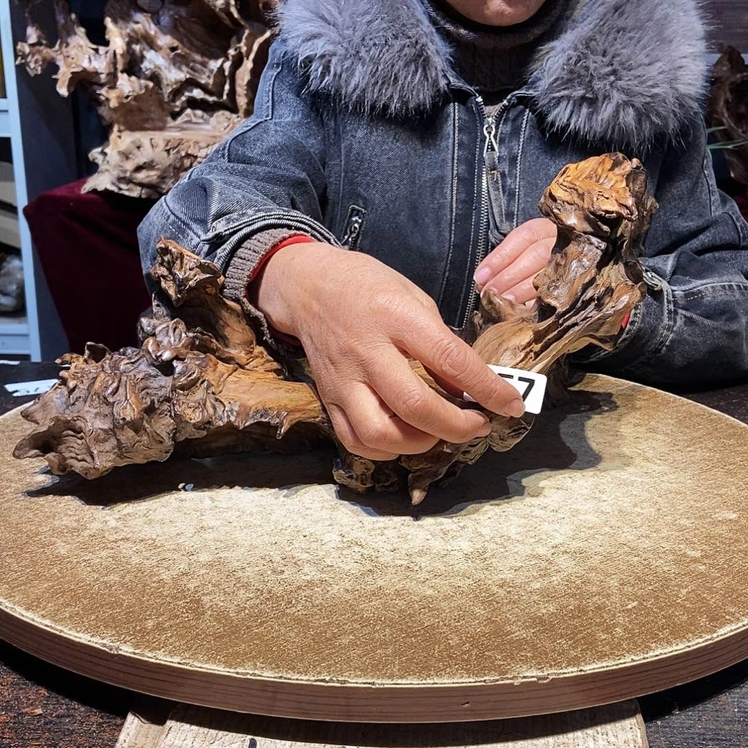 晶***灿257。株木随行根艺