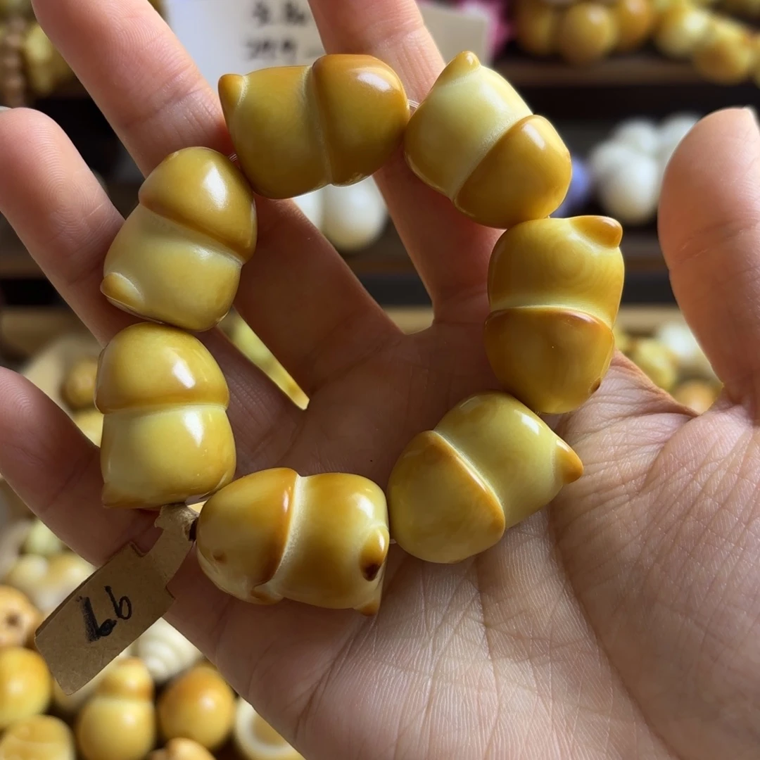 吊坠菩提根/象牙果全品