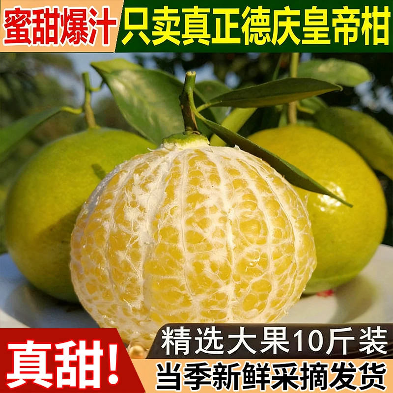 皇帝柑广西武鸣皇帝柑新鲜现摘新鲜水果蜜桔贡柑橙子橘子耙耙柑