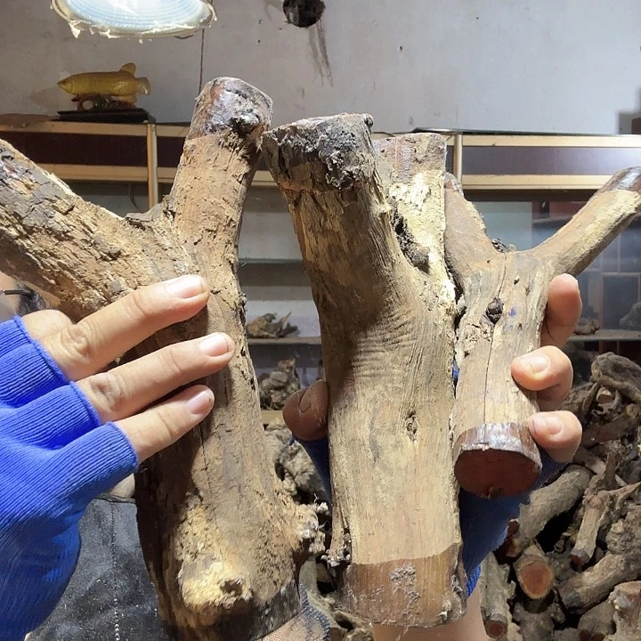 修***家香榧木火琉璃的故事是一个