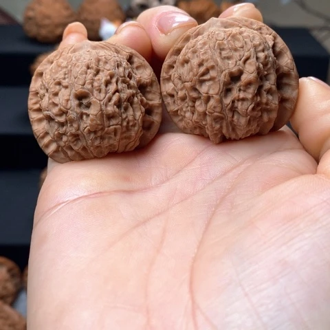 文玩核桃全品血麒麟尺38