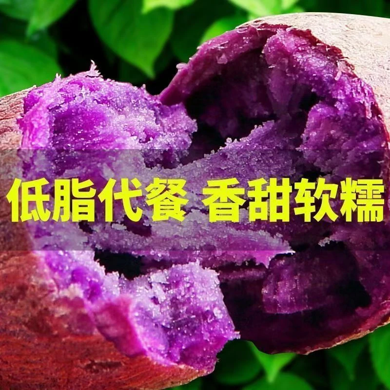 【正宗紫罗兰紫薯】新鲜番薯粉糯香甜红薯地瓜蜜薯蔬菜粗粮孕妇代餐