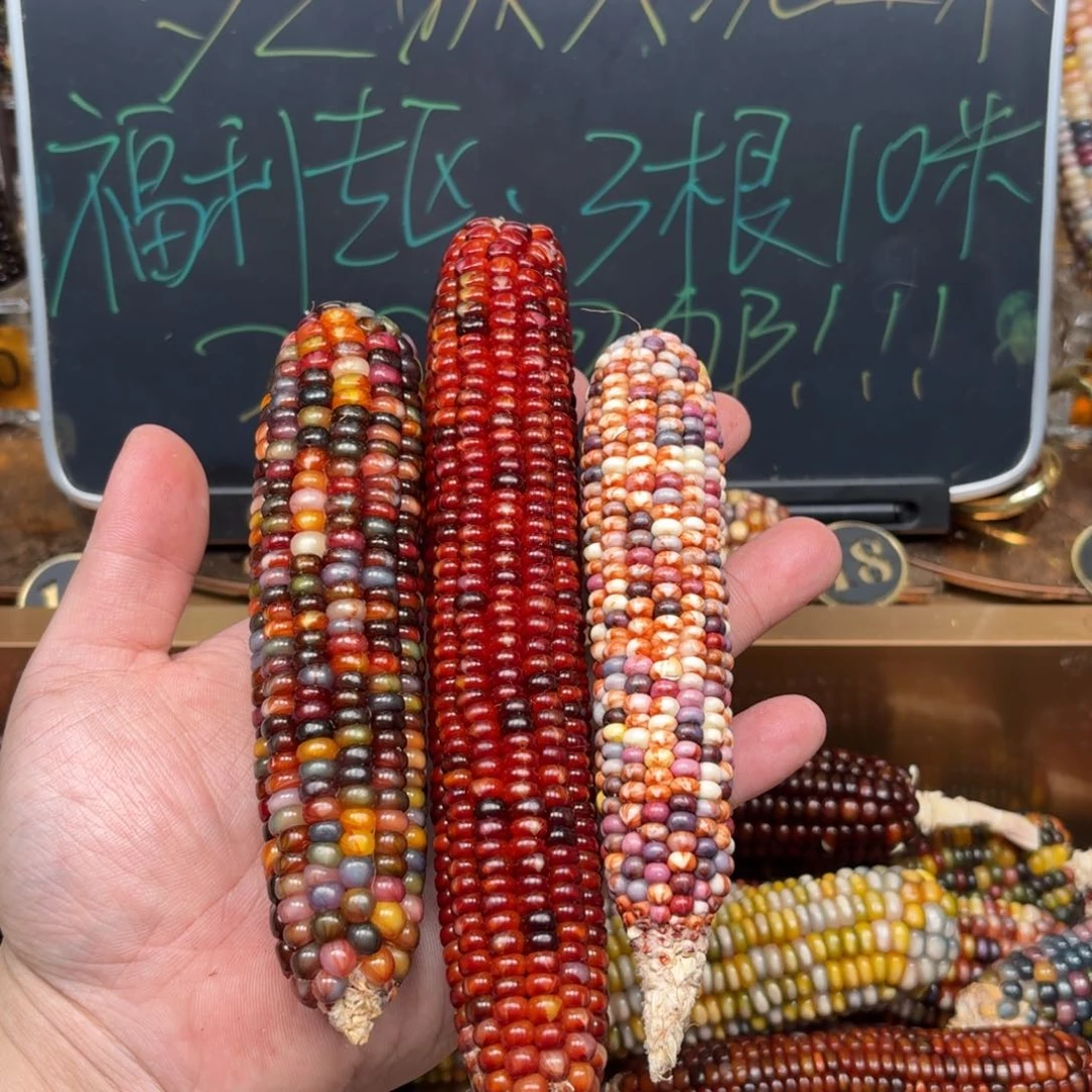 柏香籽/百香籽吊坠万*。