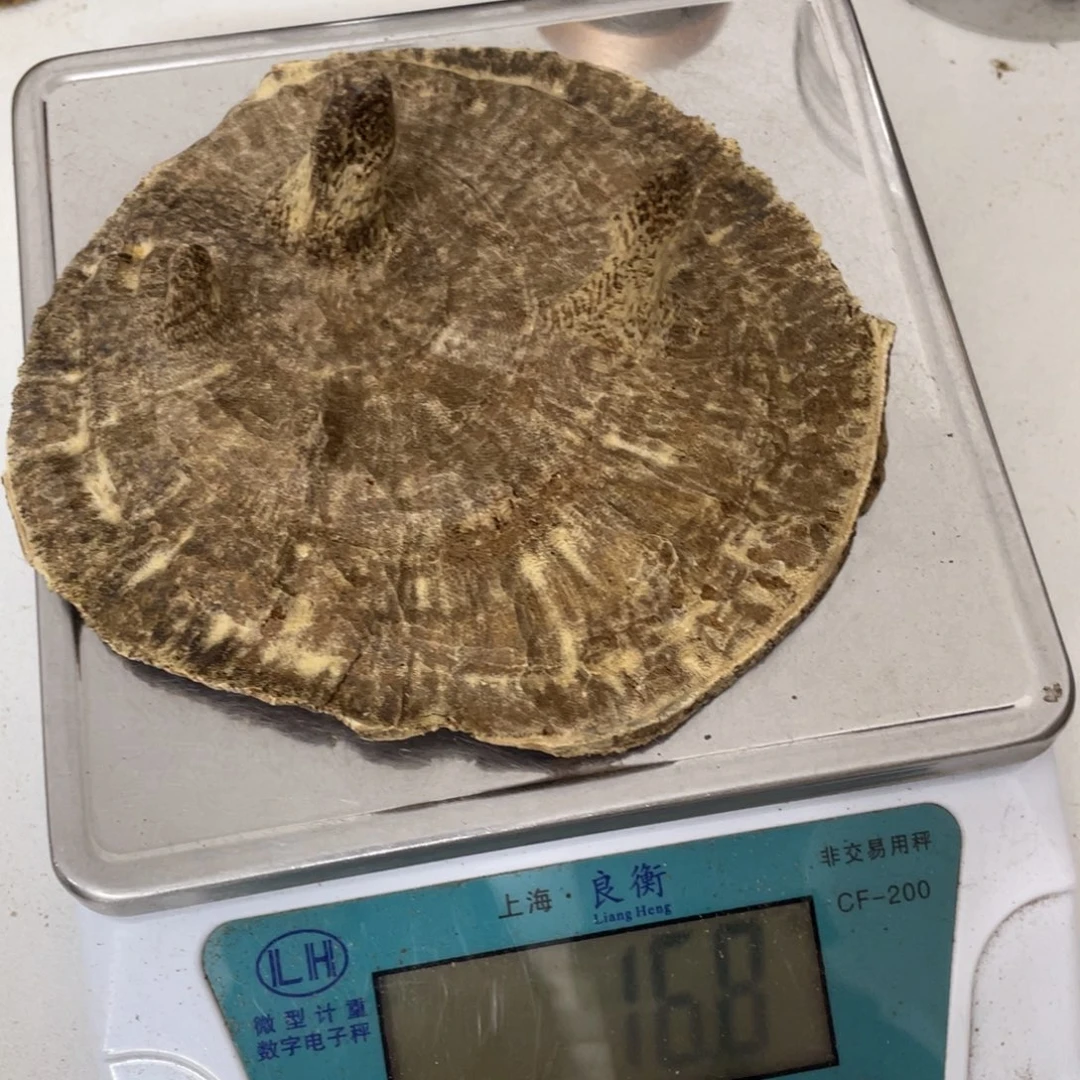沉香摆件海南沉香块料16.6克