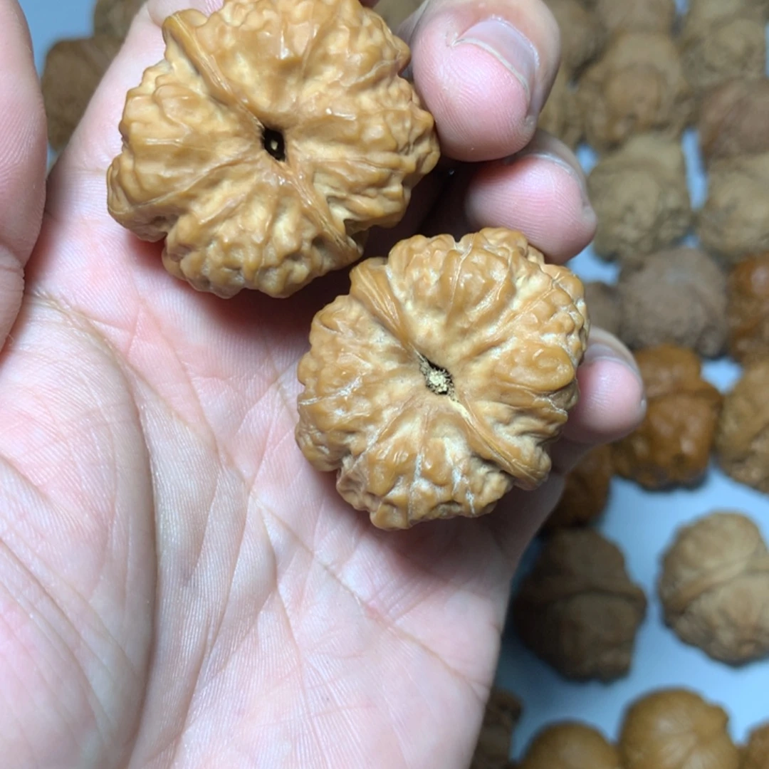 哺***物文玩核桃把件哺乳动物哥专拍蛤蟆头