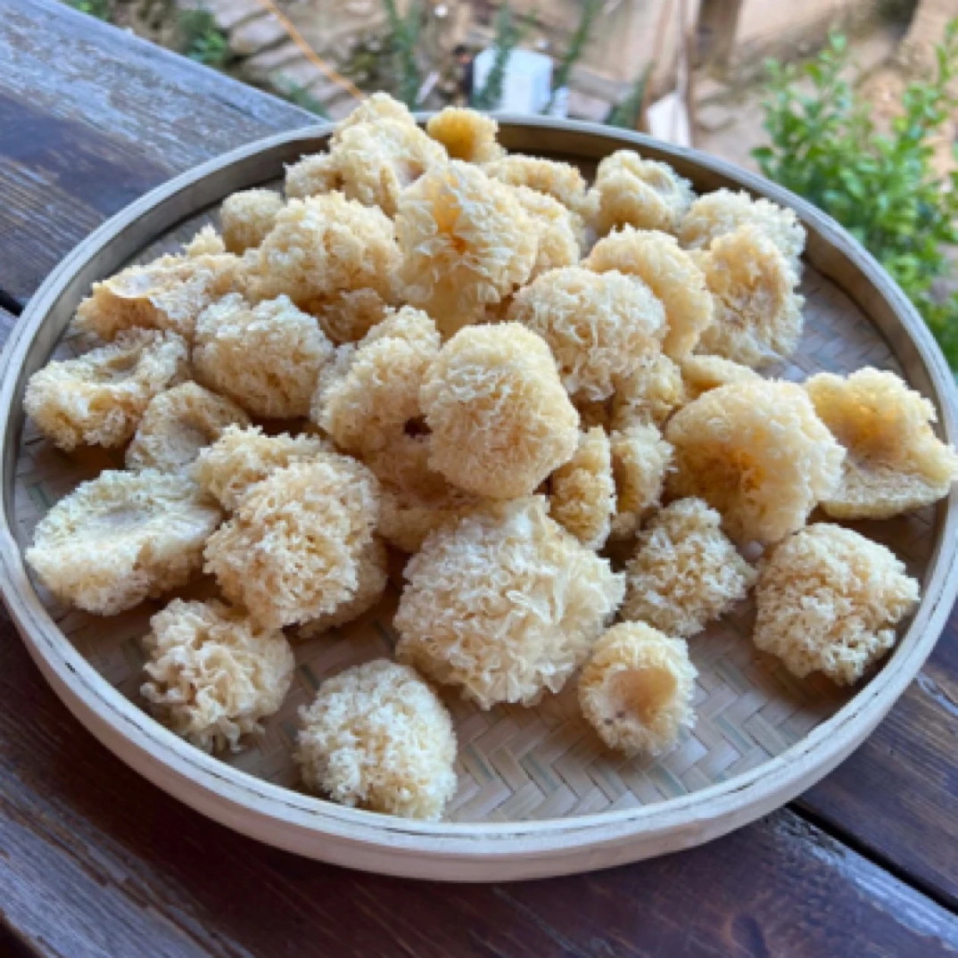 优【小银耳】椴木小银耳大山营养美味特产