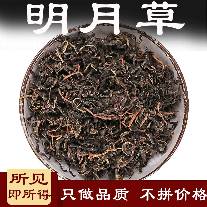 明月草100g-250g明月茶明月叶白背菜白子菜明日鸡毛菜非鱼腥草