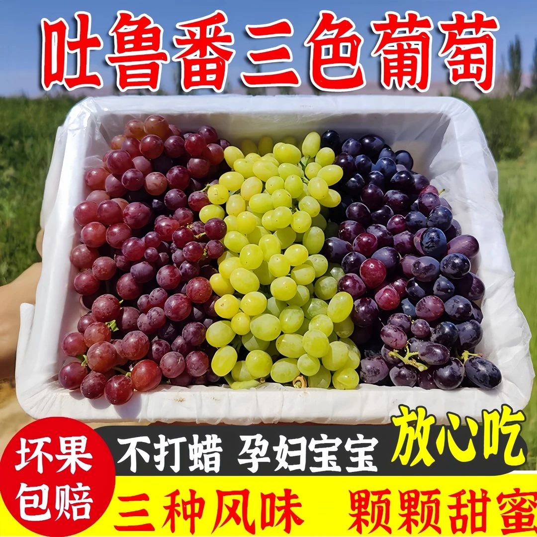 新疆吐鲁番三色葡萄 正宗无核白 无核紫 新鲜当季水果 整箱包邮