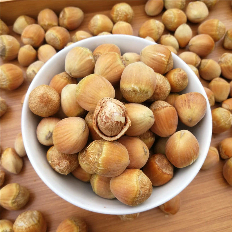 东北大榛子25年新鲜大榛子水仁鲜瓤现采现发新鲜到家鲜榛子
