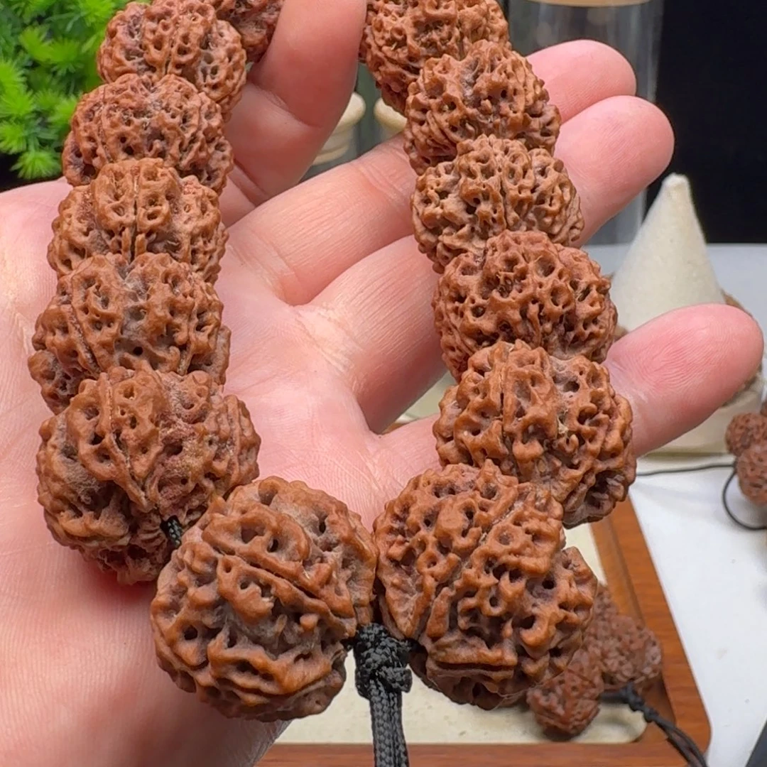 手串金刚菩提梁粗筋