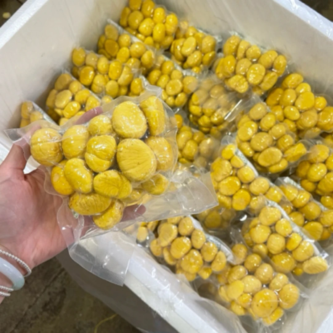 精品油栗新鲜生板栗去壳去皮甘栗现剥现发