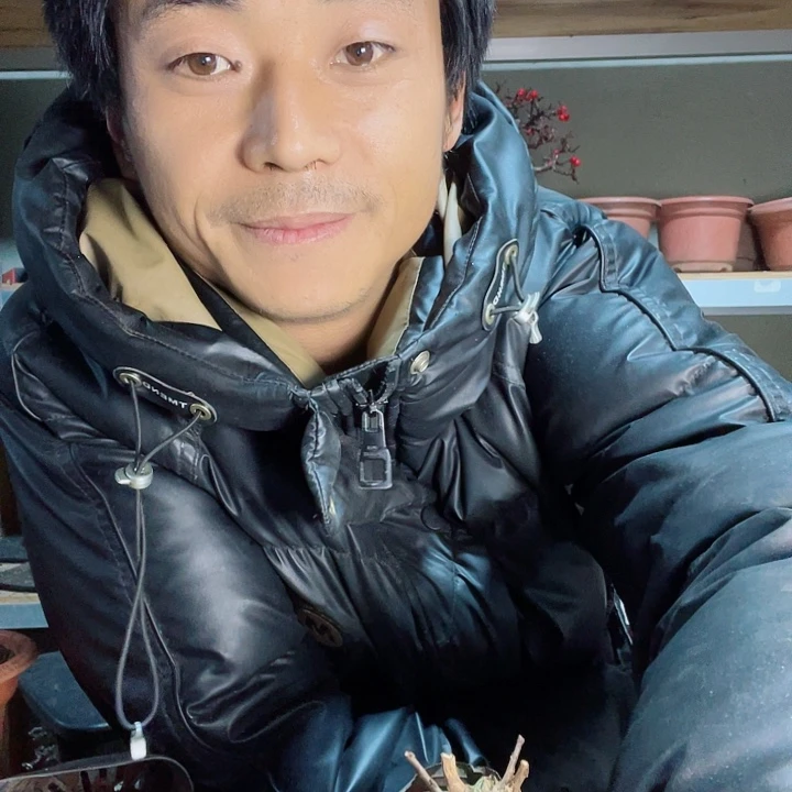 云南红花荀子，落叶