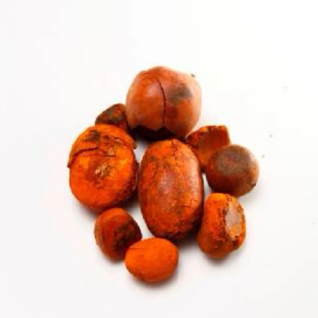 瑞农土特产 牛簧菇