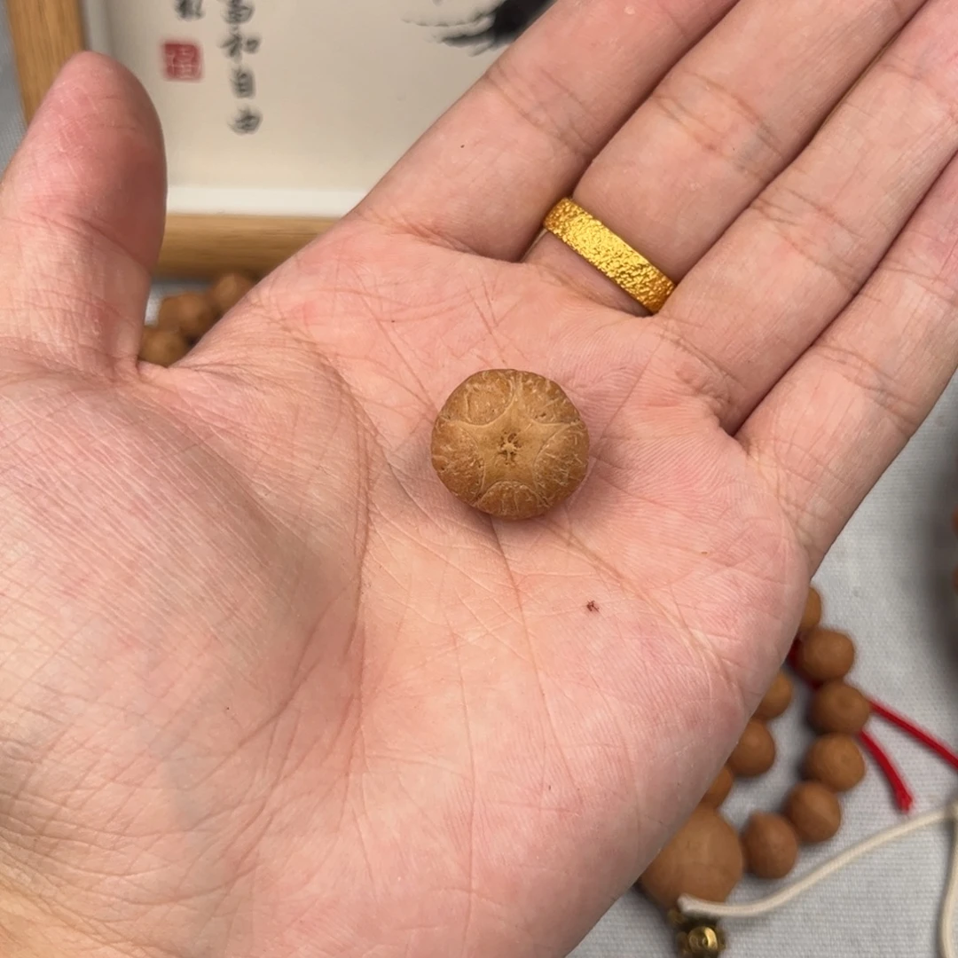 哪***呢吊坠凤眼菩提五星