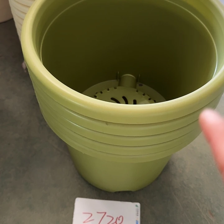 编号2720口径29果绿无托5个
