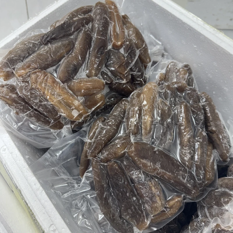 精选赤虫参水发大海参 赤条佛跳墙材料 年例特色菜 蒸煮煲汤好吃
