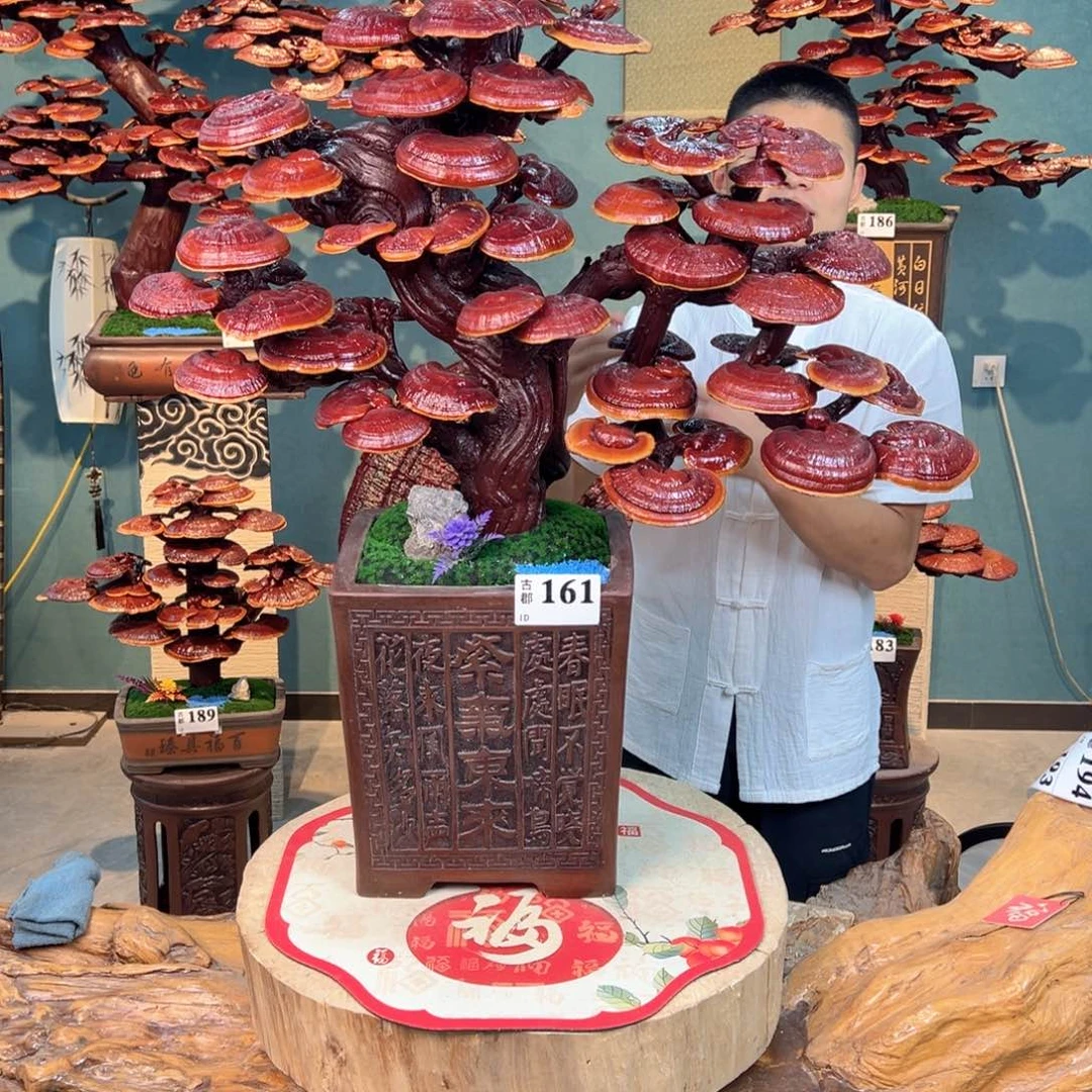 无花朵88888888888