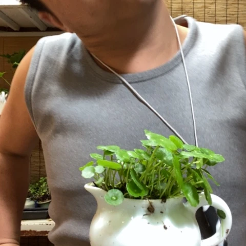 红陶涛**旧一物一拍所见即所得191