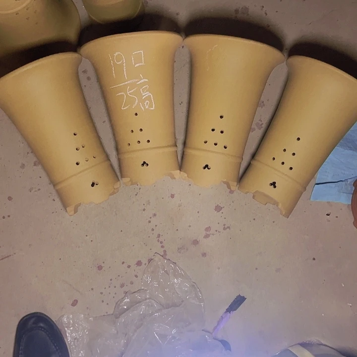 周深周深周深周深