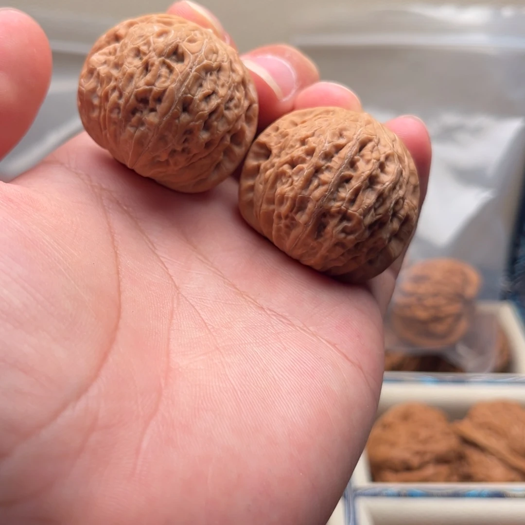 37全品铁锤小牛对