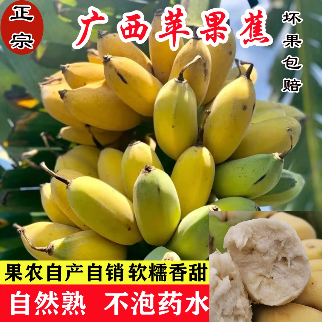 正宗广西苹果蕉当季新鲜水果现摘现发整箱自然熟孕妇小米蕉粉蕉