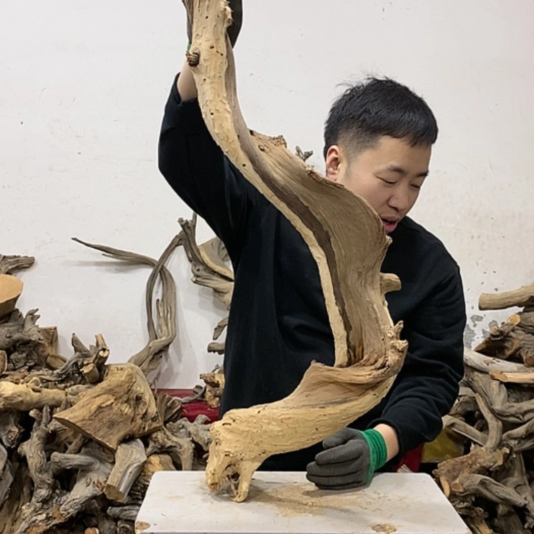 【闪购商品】柏木云*我们都是好孩子