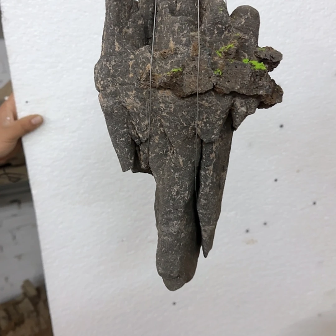 【闪购商品】香榧木张在家的感觉就是爽一天就