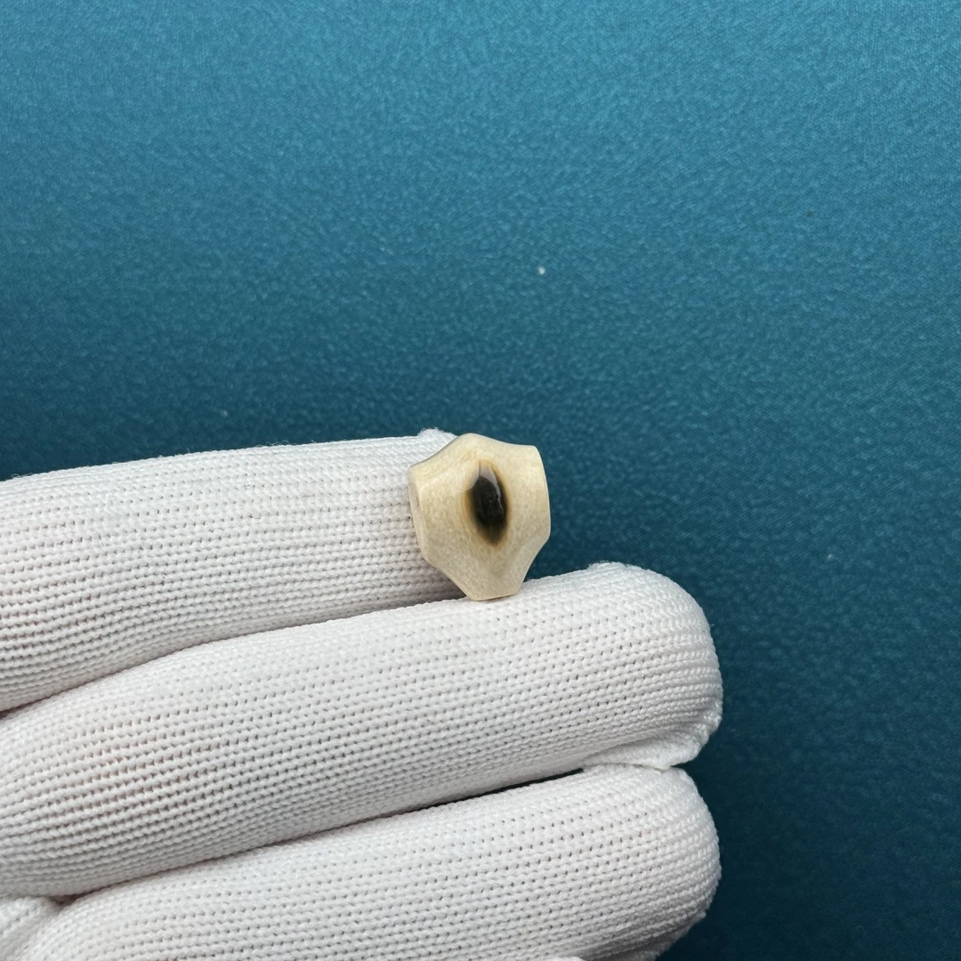 D72-54天然猛犸牙 蓝眼睛鲨鱼背12*15mm支持复检假一罚十