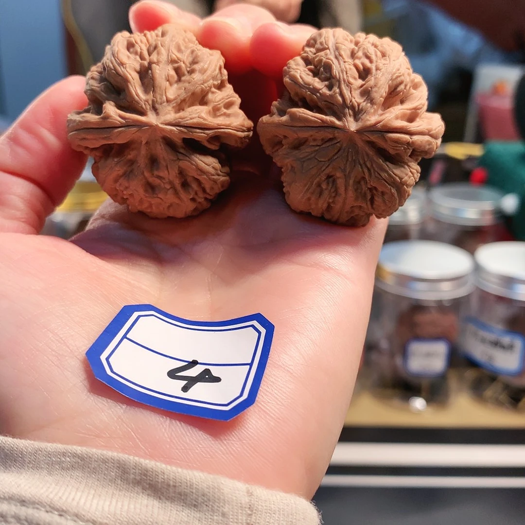 【闪购商品】吊坠文玩核桃粗筋 38尺