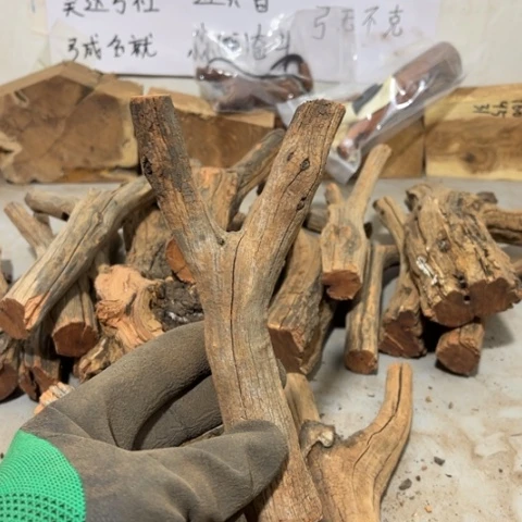 大果紫檀（缅甸花梨）老****6