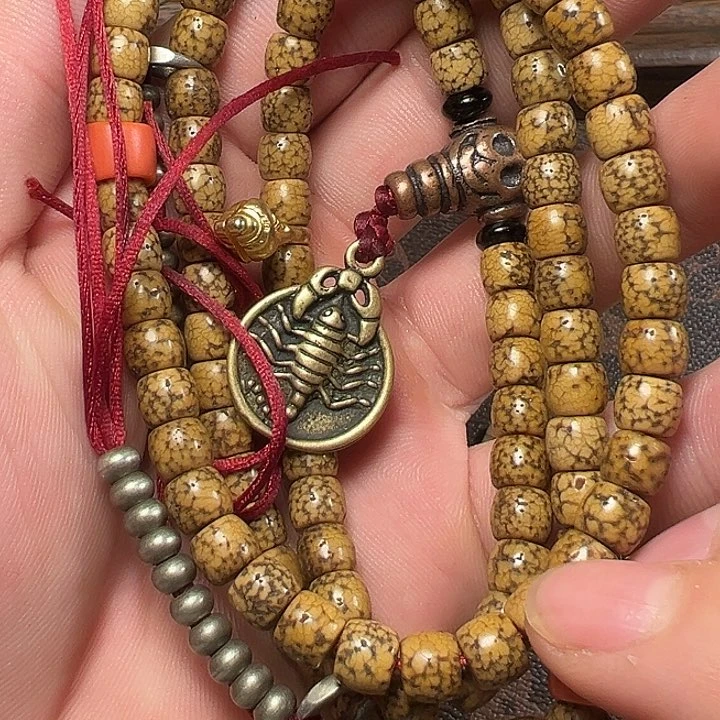 我们都是在这里看到的哈