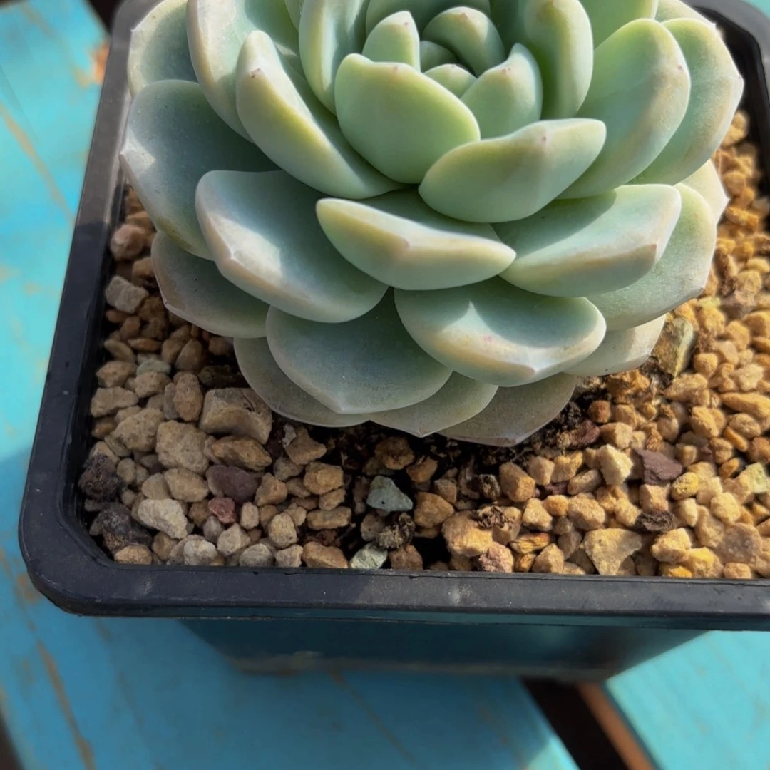 Jbjkjhbjhhhhhgghjhhj