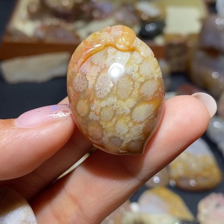 【闪购商品】未镶嵌珊瑚玉硅化玉