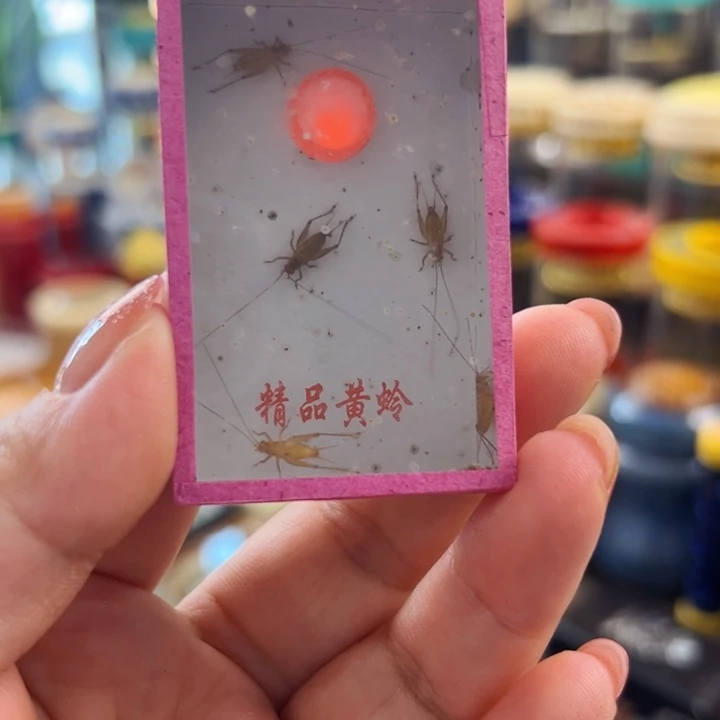 哈哈哈小黄铃两盒