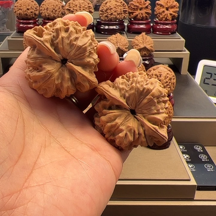 文玩核桃把件45 官帽 f-013