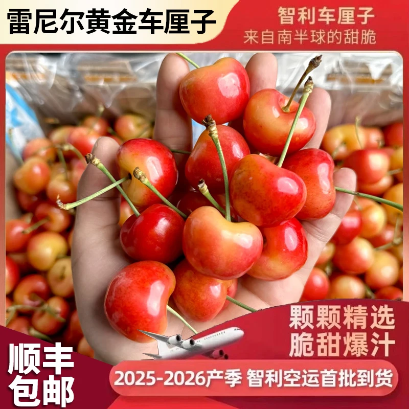 顺丰海运皇家雷尼尔智利黄金车厘子J-5J礼盒装1-4.4斤内附果径卡