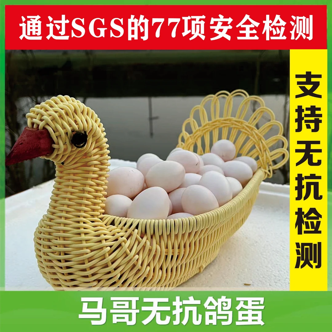 无抗纯粮鲜鸽蛋【支持无抗检测】20-60枚 破损包赔 顺丰京东包邮