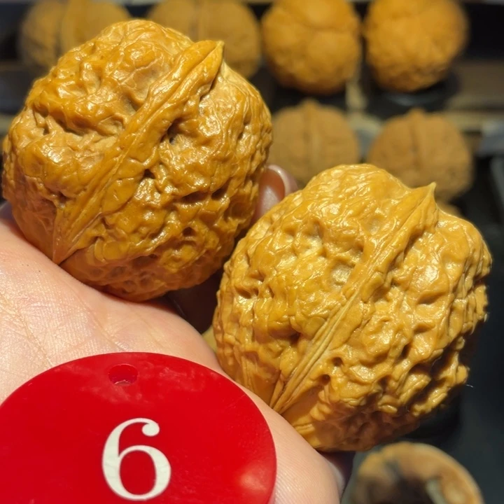 铁金刚核桃尺寸41