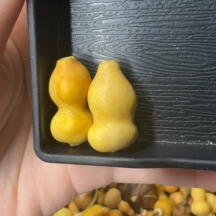 葫芦葫芦葫芦可拆