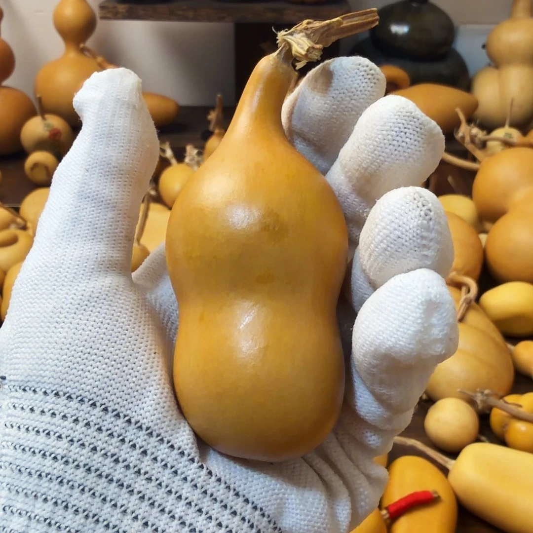 纯天然的真葫芦 6