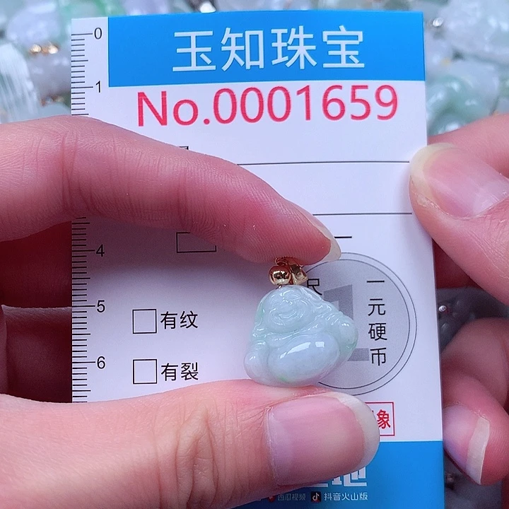 翡翠未镶嵌颈饰1659