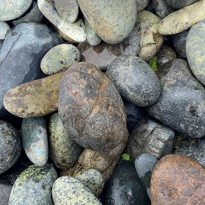 云***清蛇纹石玉合金西藏藏玉药王石