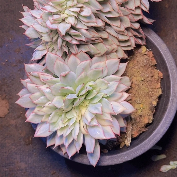 用***0在你身边是个啥都能接受