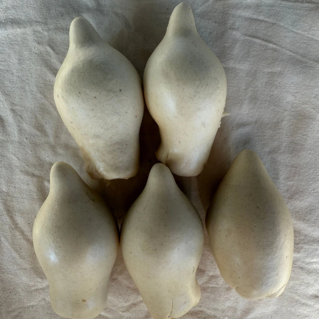 土办法柴火灶蒸制签子馒头-五个品鉴装