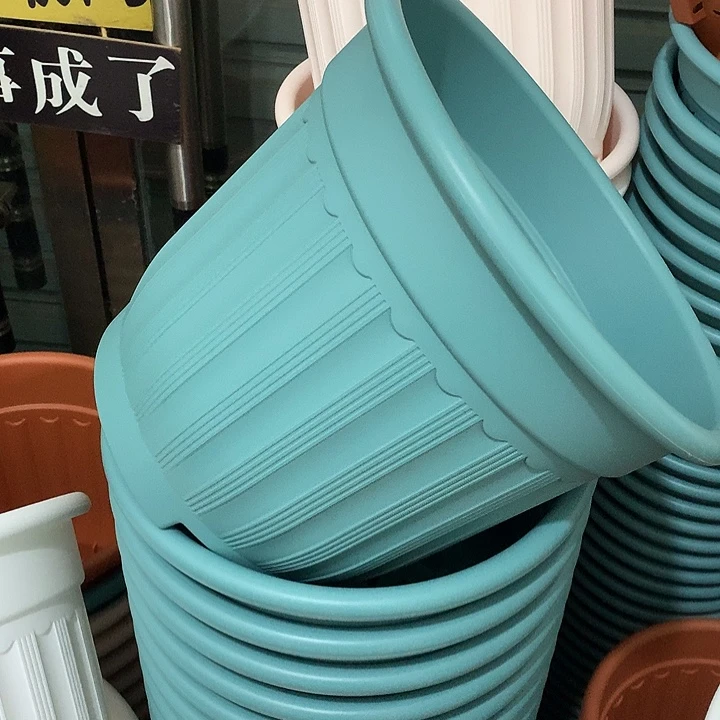 罗马口28高24蓝4个无托