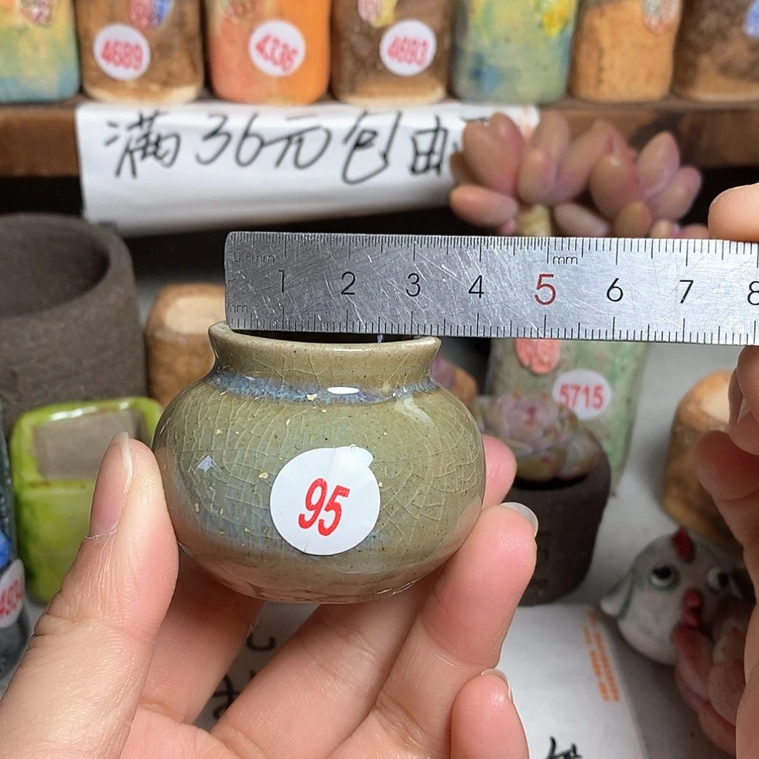 红陶拍5送一个小