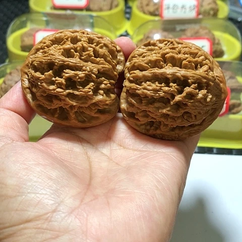 吊坠文玩核桃49.5九龙筋71克树王