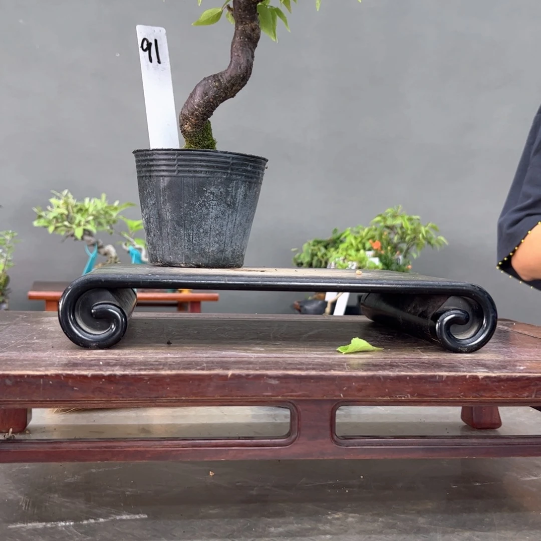 炎*91顺丰到付。