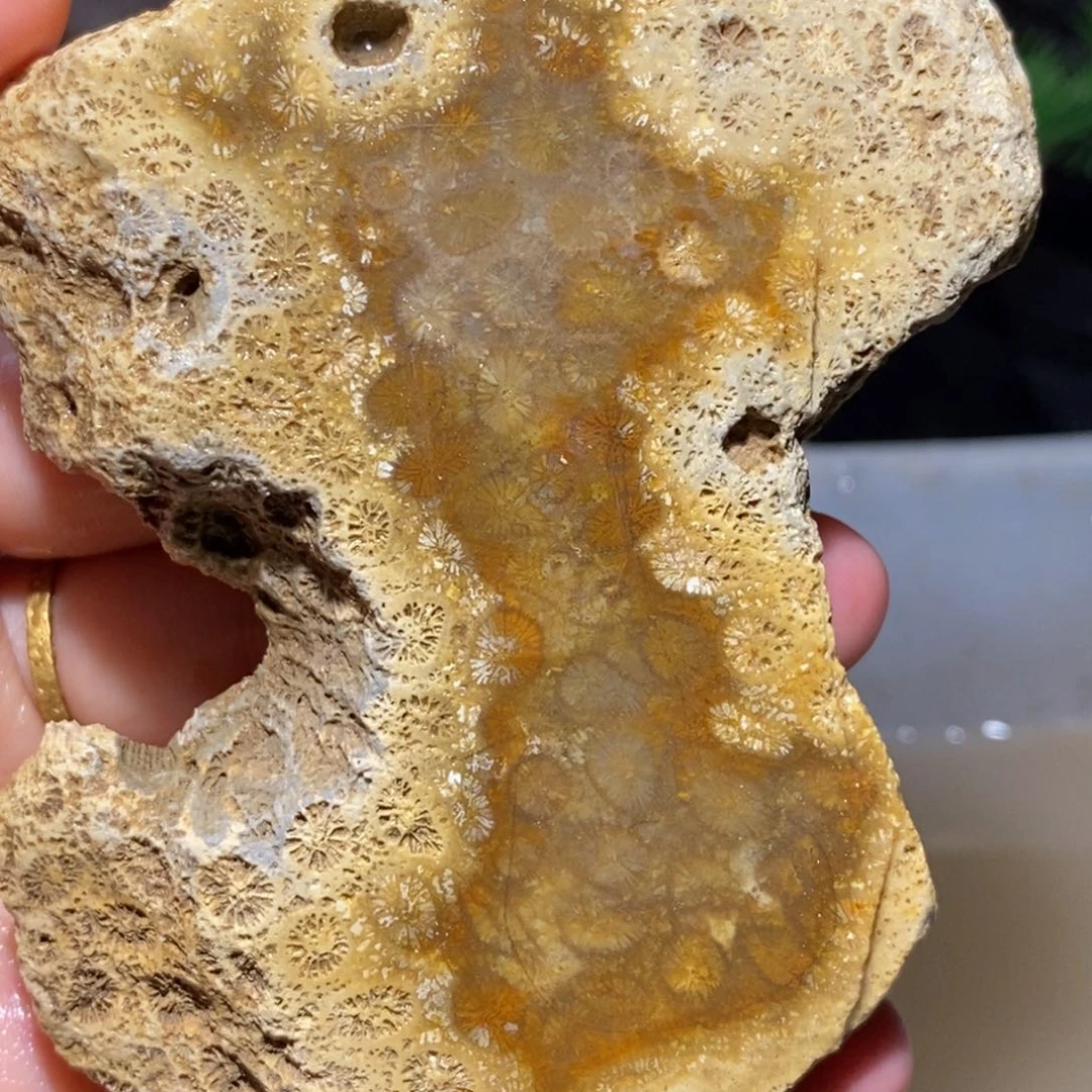 【闪购商品】硅化玉颈饰未镶嵌